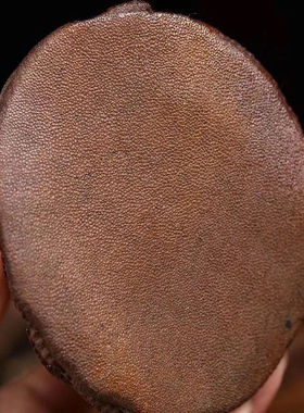 高端文玩摆件老亚牛角原皮整角 角尖摆件 珍藏工艺品收藏佳品摆件