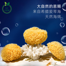 Lüchen Greece imports natural sponge newborn bath pregnant woman baby wash face rubbing shower baby honeycomb bath cotton