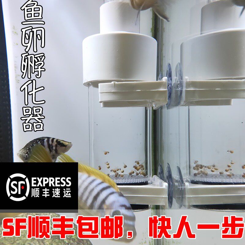 鱼卵孵化器 新人首单立减十元 21年8月 淘宝海外