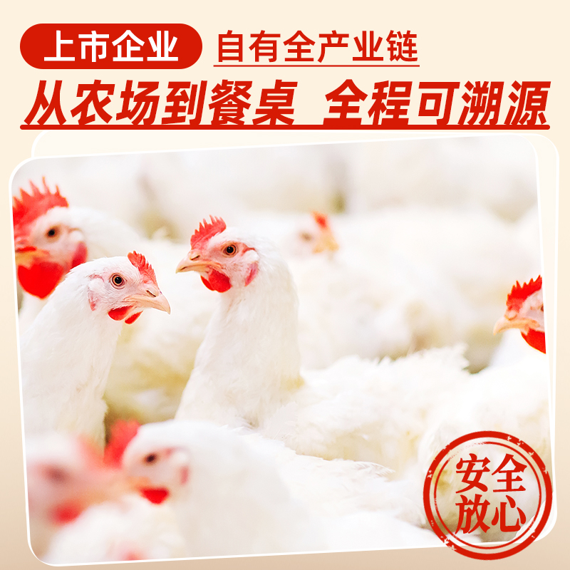 民和尖叫鸡翅奥尔良香辣翅中生鲜炸鸡烤翅组合空气炸锅半成品