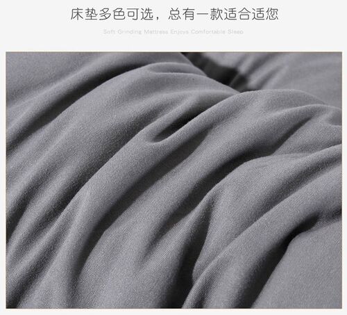 feather velvet solid mattress topper mattess pad single bed-图2