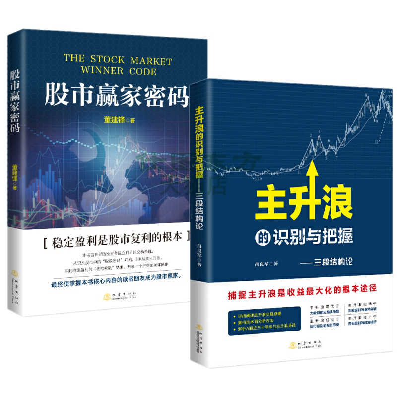 现货正版 股市赢家密码+主升浪的识别与把握三段结构论 共2册 董建锋 肖良军 著 地震出版社 - 图2