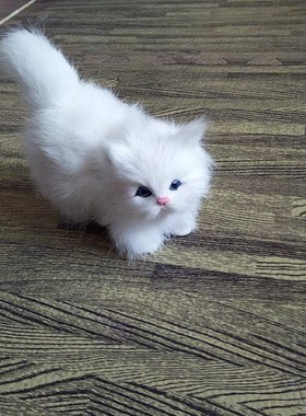 仿真小花猫皮毛动物生日礼物新奇礼品送闺蜜礼物T装修饰品花猫咪