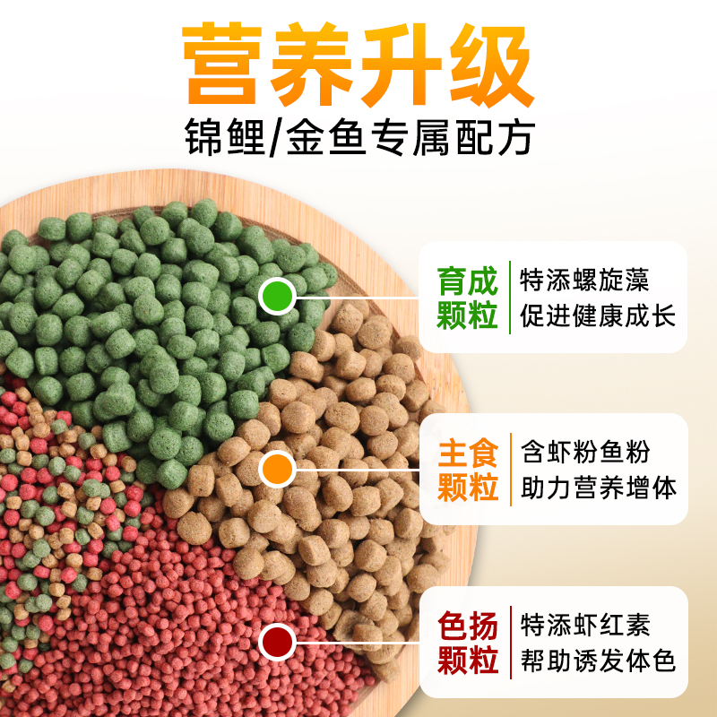 大拇指锦鲤鱼专用饲料大颗粒金鱼鱼食大小颗粒鱼料观赏鱼育成鱼粮 - 图0