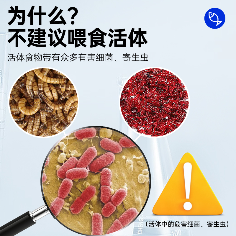 虾虎鱼饲料溪吻虾虎鱼粮长宽鳍鱲白面虾虎马口鱼原生鱼专用鱼食料-图2