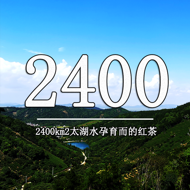 2022新茶春茶正宗洞庭碧螺春红茶花果香熙红茶叶便携自封袋88克装