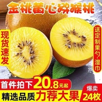 Fresh 5 catties The whole box of yellow heart chic exotic fruits from Sichuan Zhengzongqi Exotic Fruit Great Fruits to Season Pregnant Fruits