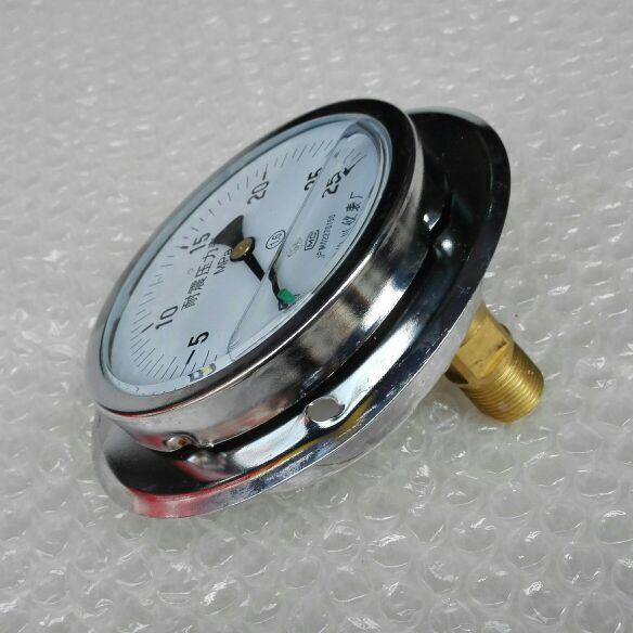 耐震压力表 轴向 YN-100ZT 压力0-25mpa 直径100mm 螺纹m20x1.5 - 图1