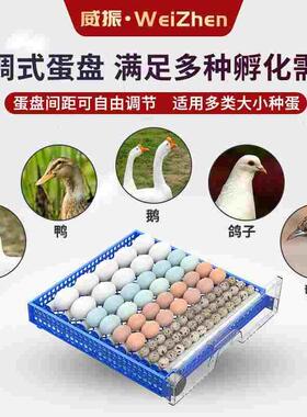 【工厂直销】智能全自动孵化机小型家用型迷你鸡蛋半自动孵化器