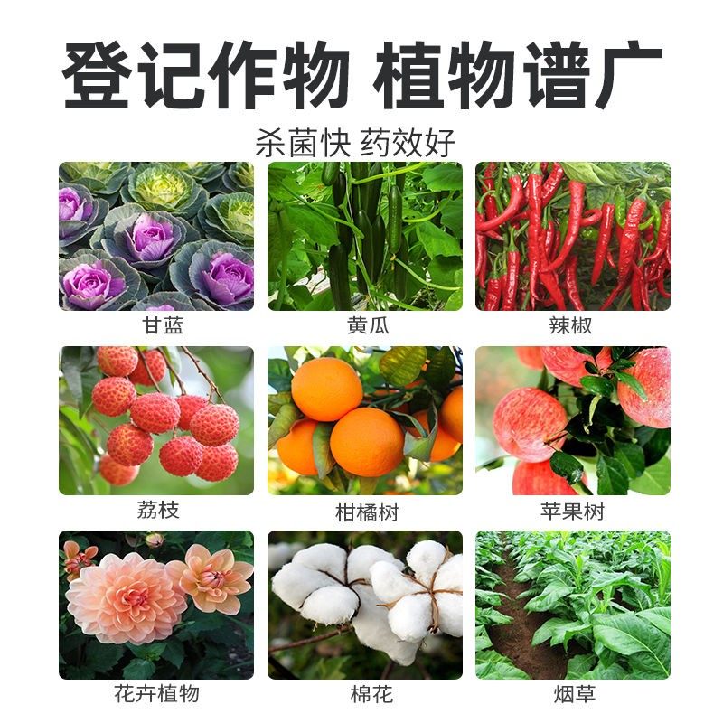 99%恶霉灵原药土壤消毒杀菌剂草莓蔬菜人参中药材根腐病噁霉灵,淘宝优惠券,粉丝福利购,淘宝优惠卷