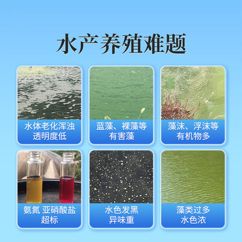 2000亿枯草芽孢菌微生物菌肥水产养殖农业种植根腐病堆肥发酵菌 - 图3