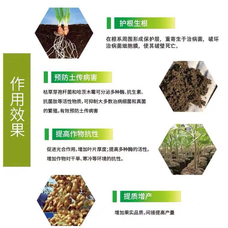 枯草芽孢菌杆菌微生物菌肥水产养殖农业种植根腐病兽用发酵-图2