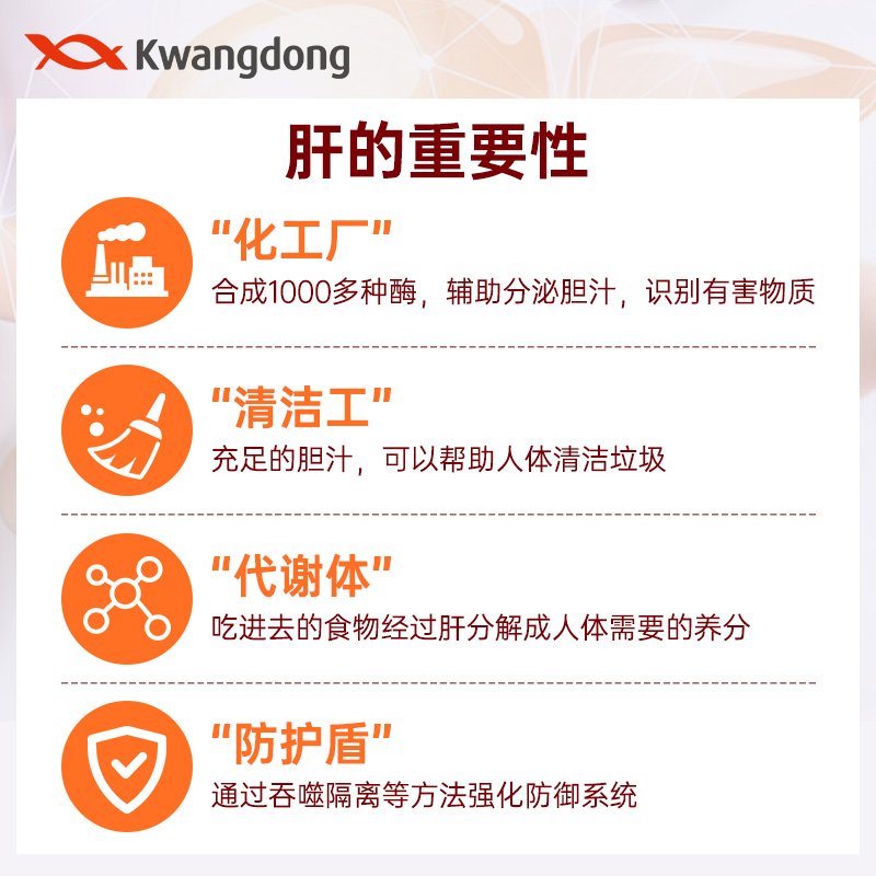 kwangdong奶蓟草胶囊片净养护水飞蓟熬夜加班解酒男士女性肝健康