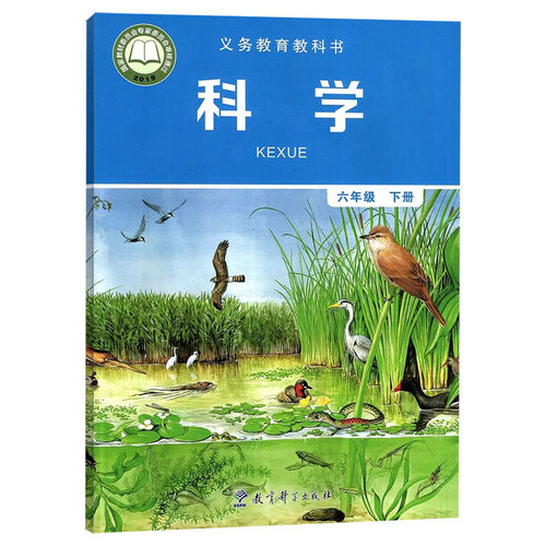 正版教科版六年级下册科学书课本小学6六年级下册科学教育科学出版社科学六年级下册学生用书6六下科学书教科版义务教育教科书 - 图3