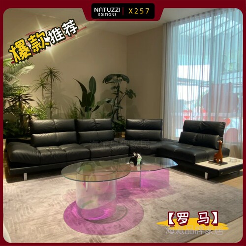 Natuzzi纳图兹/意迪森C142毛毛虫功能性真皮沙发C255C027正品代购 - 图1