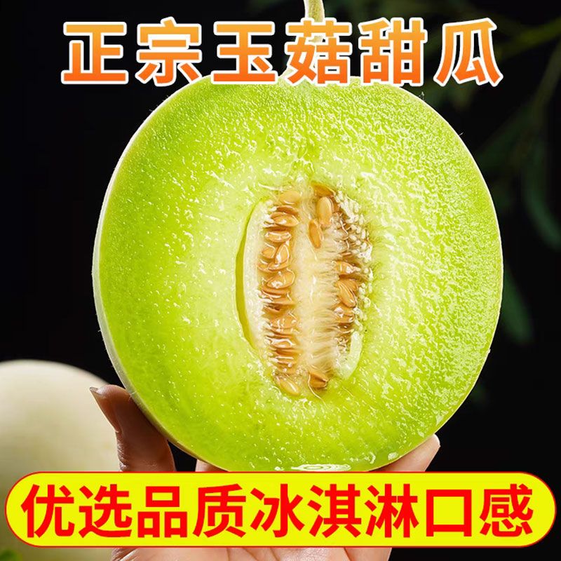 玉菇甜瓜新鲜现摘水果10斤冰淇淋当季整箱包邮小香瓜蜜瓜羊角密发 - 图1