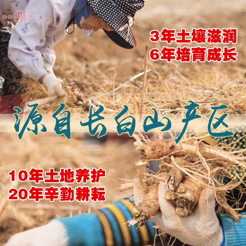  华韩骏龙西洋参