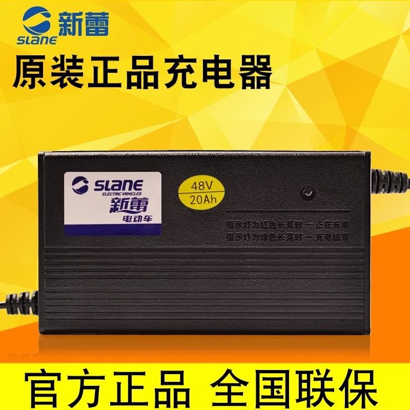 两充电器蕾新原装新铅国标动车酸电池电孔48v14ah60wv20ah72v30ah - 图1