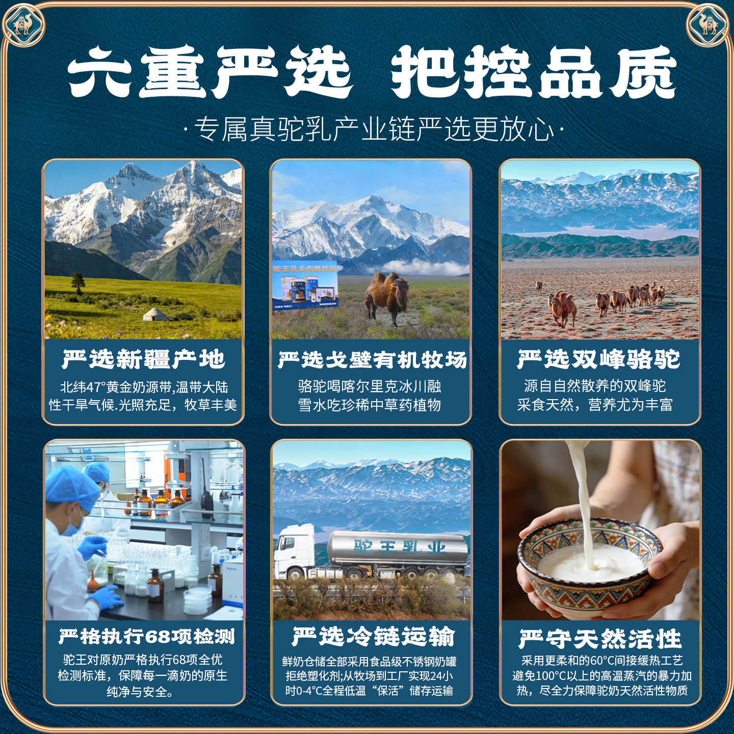 驼王儿童成长骆驼奶粉助力高个正宗新疆有机纯驼乳正品官方旗舰店
