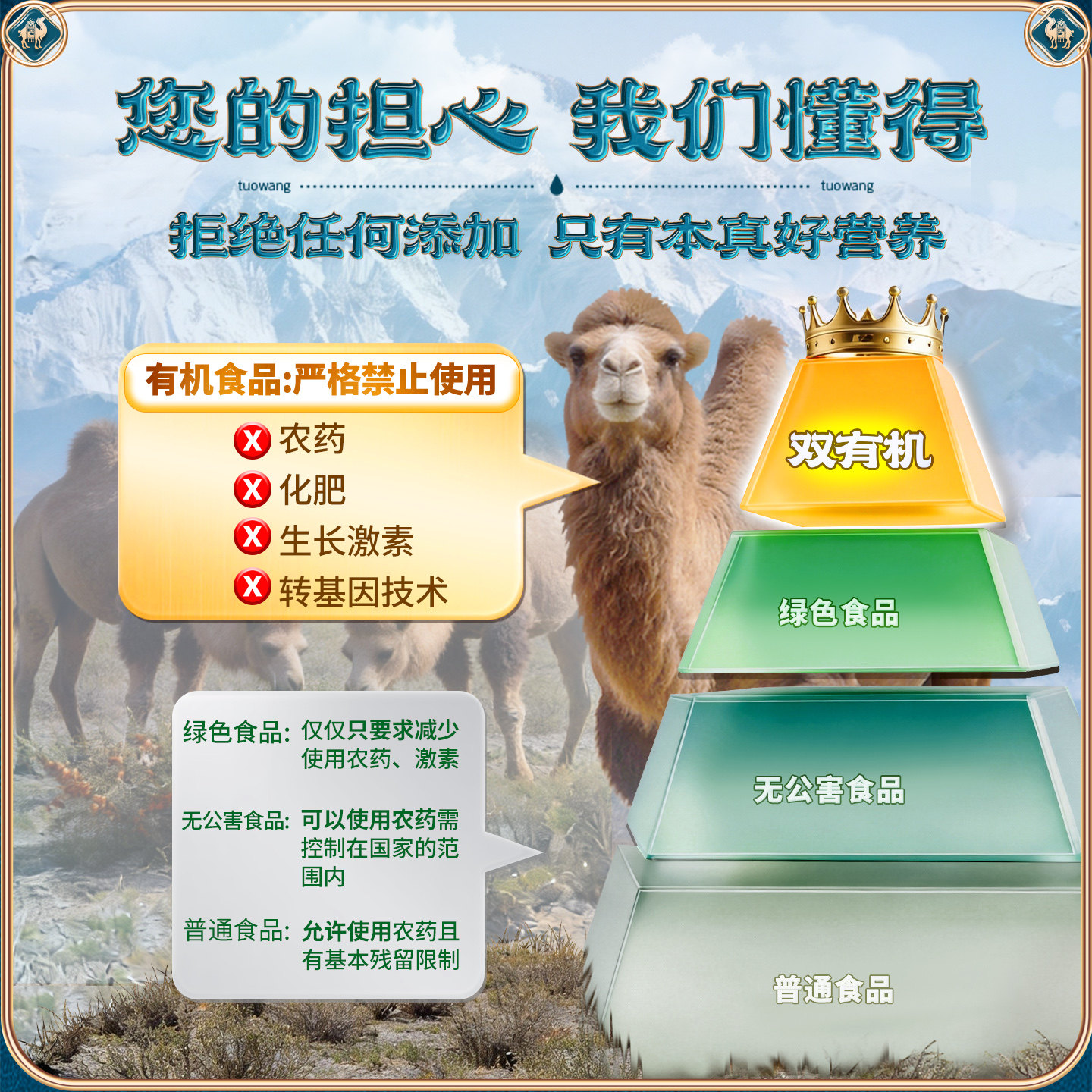 有机正宗新疆纯骆驼奶片儿童高钙奶片宝宝成长无添加驼奶贝旗舰店