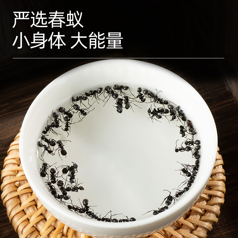 黑蚂蚁中药材正品食用黑蚂蚁干中药泡酒非蚂蚁粉长白山野生黑蚂蚁