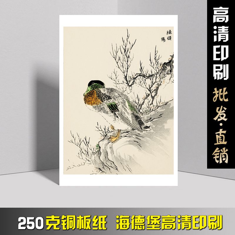 国画临摹卡花鸟名家木板画中国风初学者绘画入门绘画教学全套48幅 - 图1