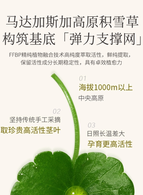 植迷荟积雪草紧致抗皱面膜5片/盒