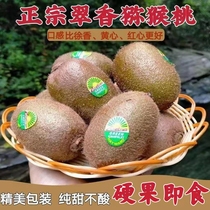 Shaanxi Week to Cuixiang Xu Xiangqi Exotic Fruits Green Heart Macaque Exotic Fruits Fresh Fruit Pure Sweet When Should Season The Whole Box