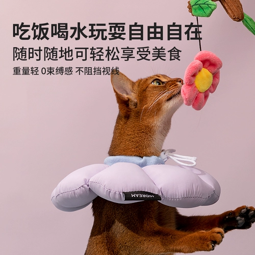 Hidream Elizabeth Cat Cat Soft Head Cat Cat Big Freebing Котенок лизать анти -бейт -водонепроницаемые собаки заикающий круг