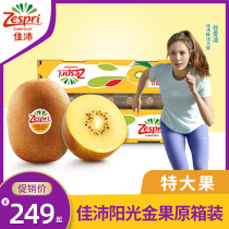 Zespri New Zealand Jiapai sunshine golden fruit 25 grain original box with extra-large fruit chic exotic fruit