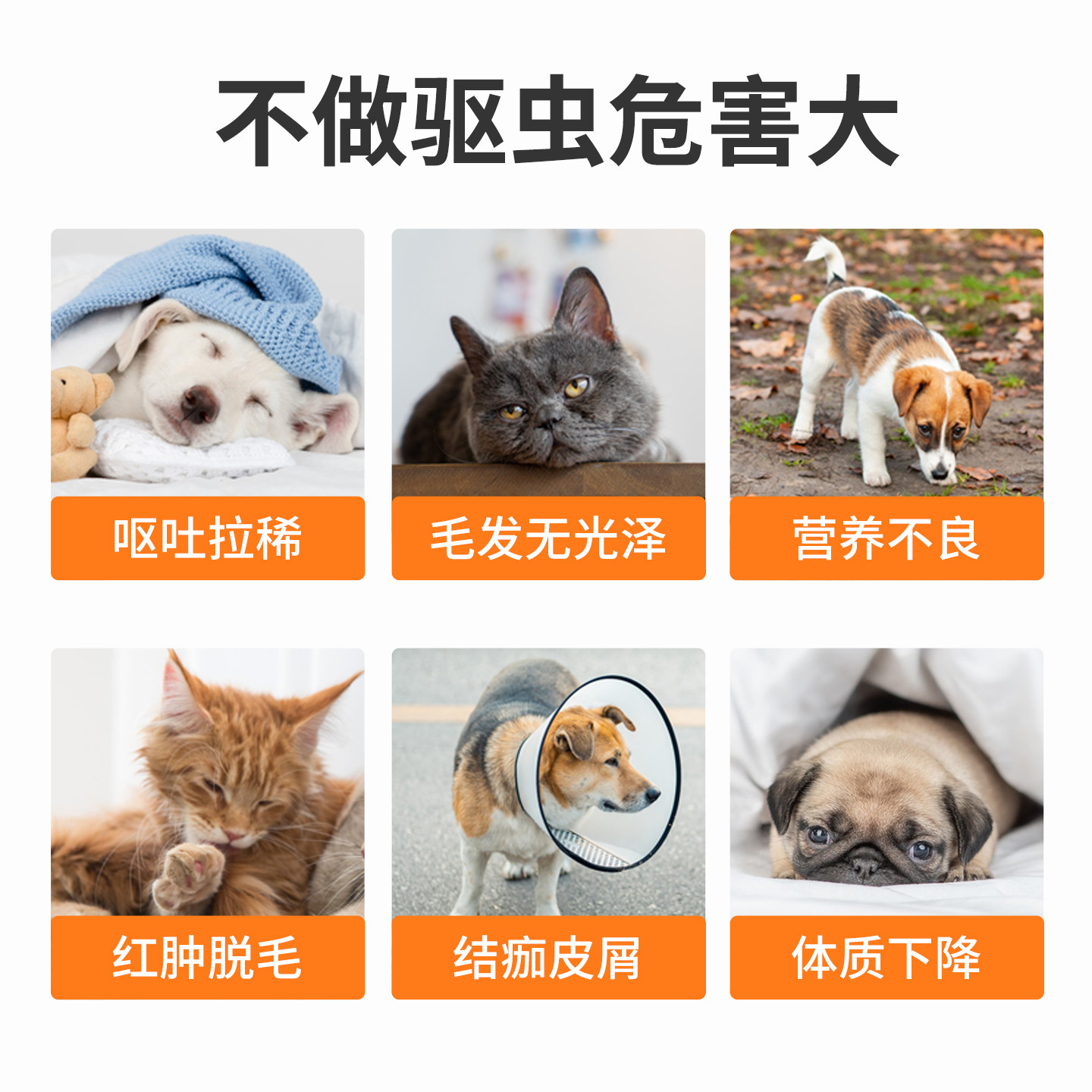 猫咪驱虫药体内外一体狗狗驱虫宠物去跳蚤耳螨吡虫啉莫昔克丁滴剂,淘宝优惠券,粉丝福利购,淘宝优惠卷