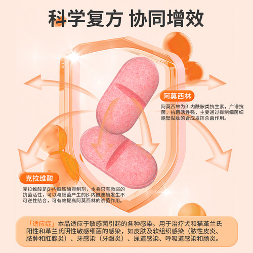 猫咪感冒药阿莫西林克拉维酸钾片宠物狗狗消炎药猫鼻支速打喷嚏诺 - 图2