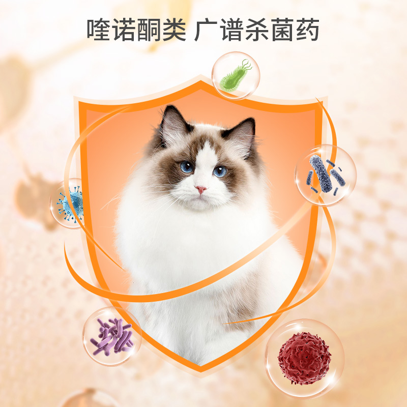 猫藓外用药猫咪细菌病猫癣专用药宠物狗癣真菌喷雾狗狗皮肤病喷剂 - 图1