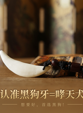 普陀山黑狗牙吊坠项链