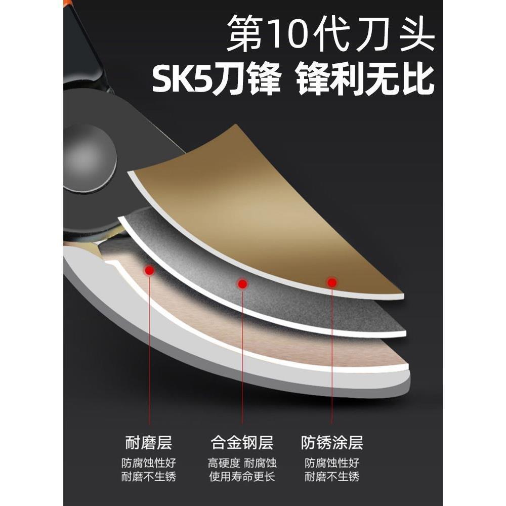 德国精工艺园剪刀剪树枝专用剪刀修枝剪园林果树修花家用粗枝剪子 - 图1