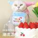 Birthday hat bib universal cat and dog accessories