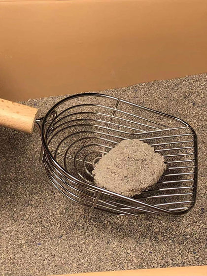 Metal cat litter shovel large cat poop artifact supplies