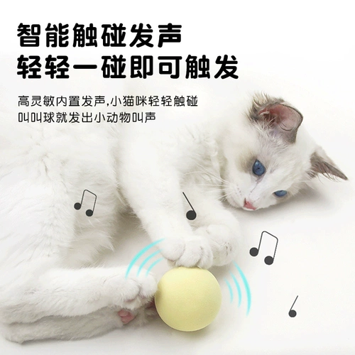 JAS CAT POWER-CAT MEOW BALL BOOM Птица птица птица птица птица птица птицы слепые кошки. Шарик.