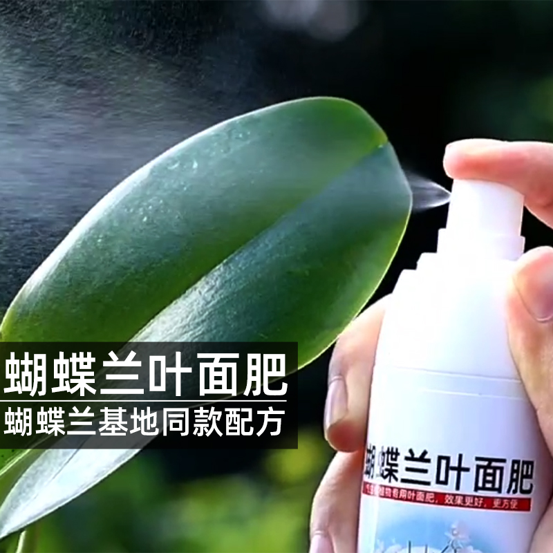 蝴蝶兰叶面肥喷雾兰花肥料防烂根植料花盆催花剑君子兰专用营养液,淘宝优惠券,粉丝福利购,淘宝优惠卷