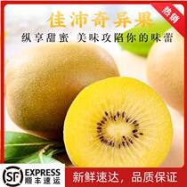 Canapeic exotic fruit whole boxes Big fruits pregnant women Fresh fruit When season New Zealands Italian Yellow Heart Exotic Fruit Ciso
