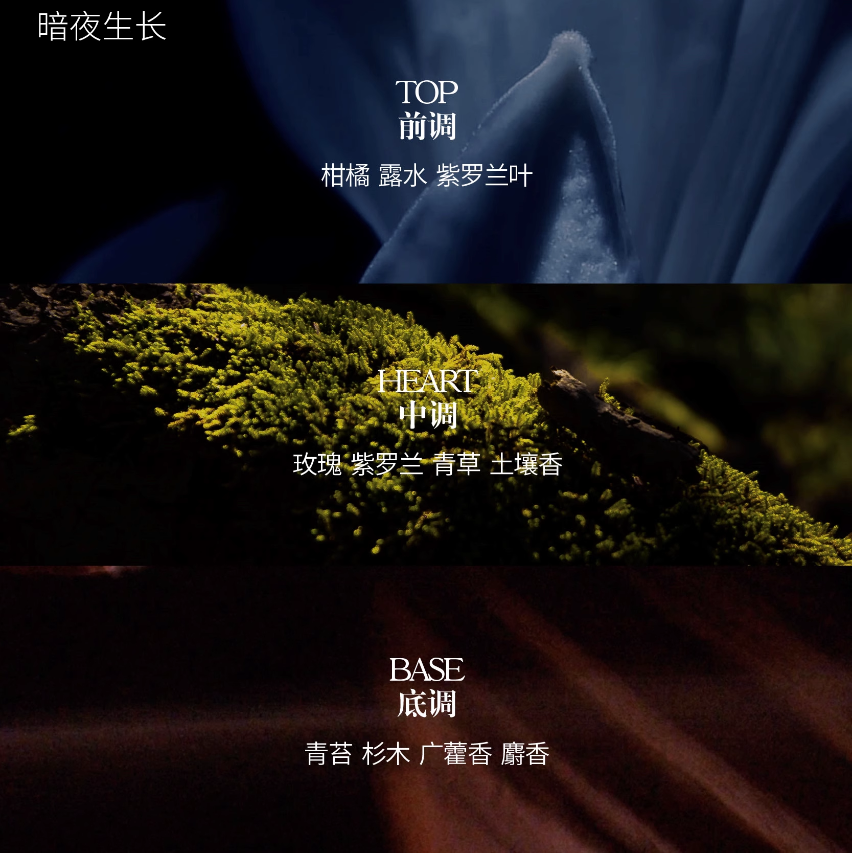  SAVHE萨和香水