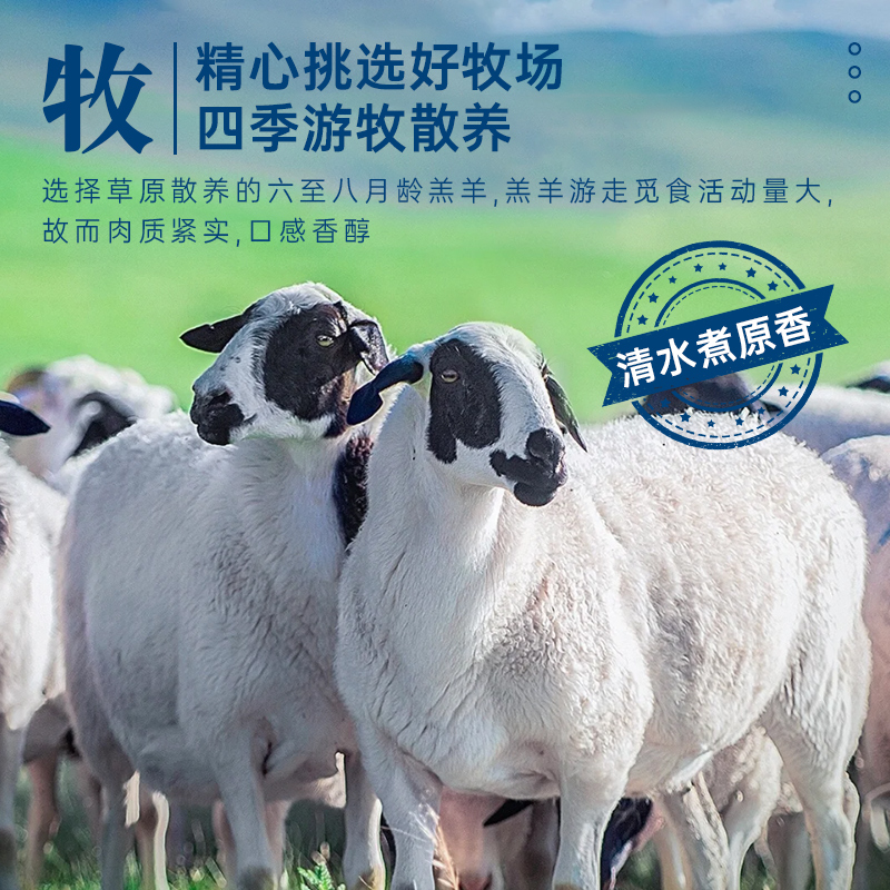 羊食光 羊小腿5斤新鲜羊肉散养乳羔羊前腿羊前腱切块腱子肉