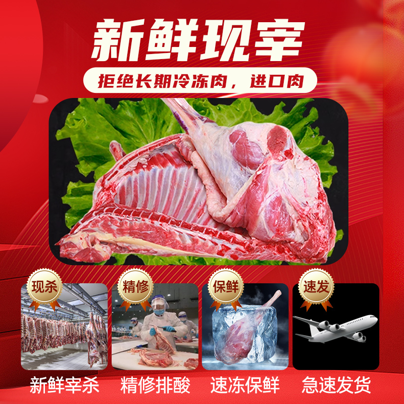 新鲜羊肉甘肃半只羊10斤滩羊乳羔羊后腿羊肋排冷冻羊蝎子年货礼盒