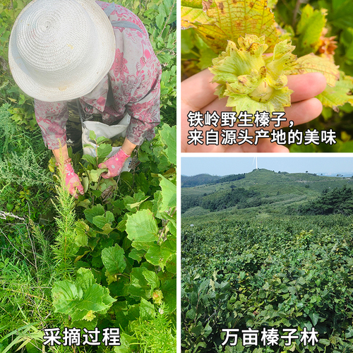 榛子东北特产新鲜野生炒熟开口年货零食棒子干果坚果小臻子大榛果