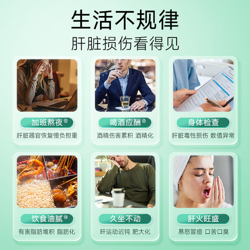 SorLife诗丽芙奶蓟草胶囊水飞蓟素熬夜加班朝鲜蓟正品官方旗舰店 - 图0