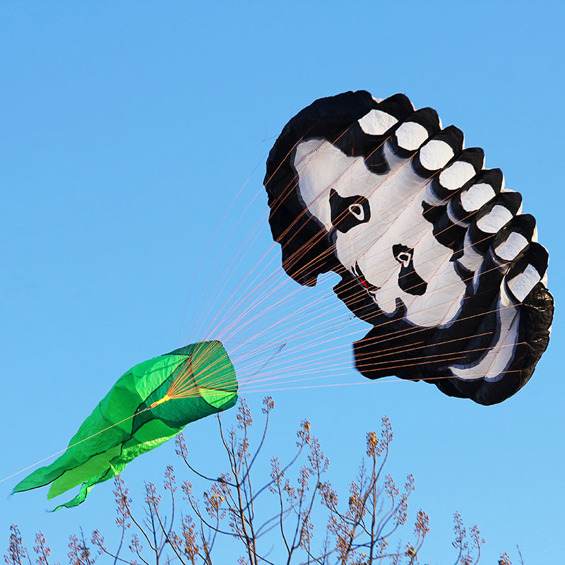 天际漫步者风筝大型软体风筝成人儿童卡通熊猫高档无骨架套餐易飞