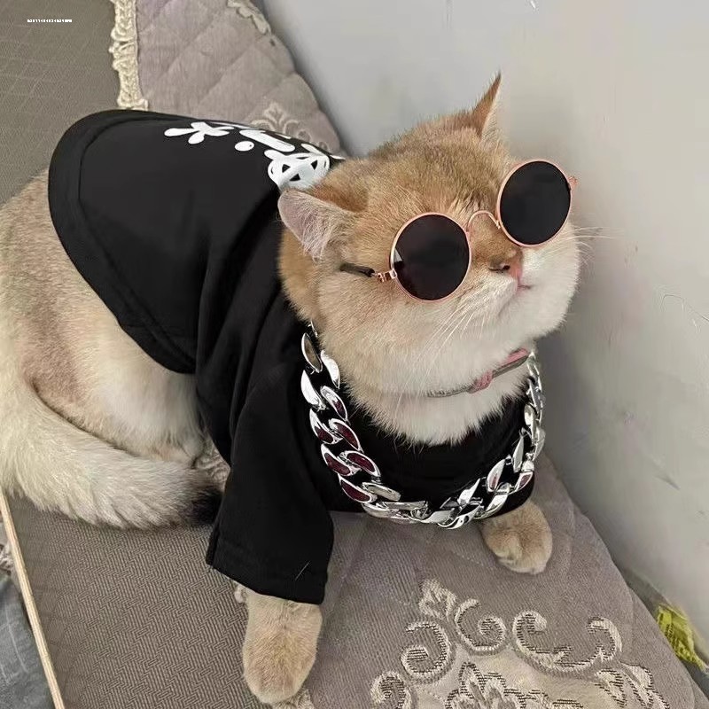 宠物猫眼镜猫咪墨镜酷猫搞怪拍照道具墨镜小型网红宠物猫太阳镜,淘宝优惠券,粉丝福利购,淘宝优惠卷