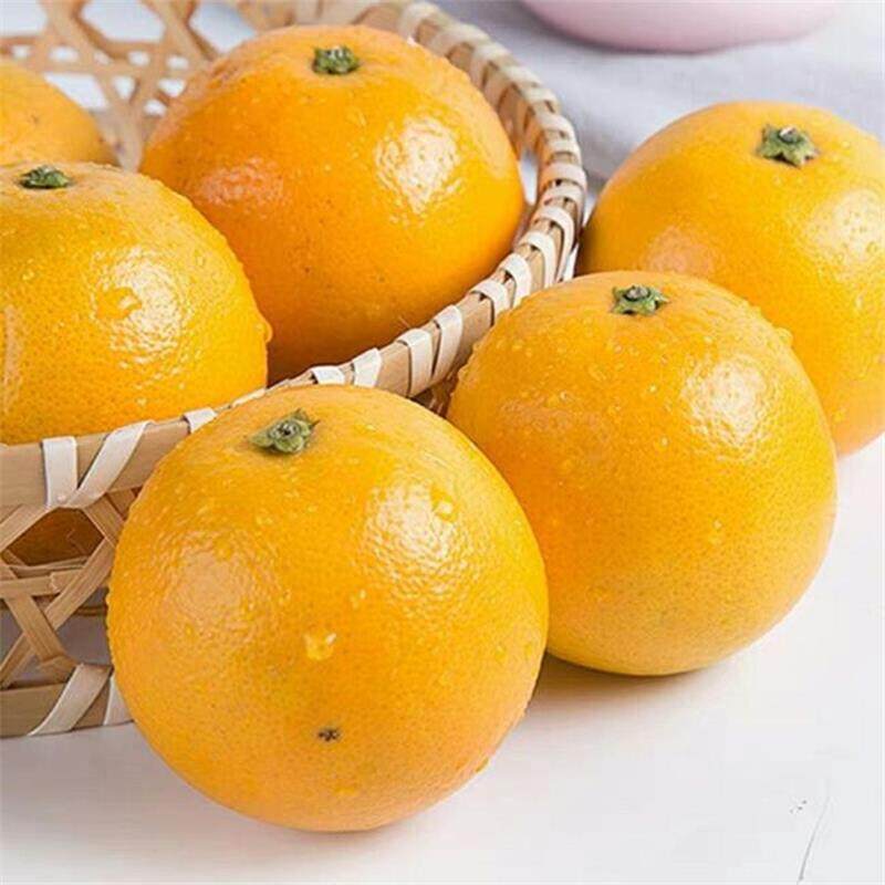 湖南麻阳冰糖橙新鲜水果橙子包邮产地直发源头年货节,淘宝优惠券,粉丝福利购,淘宝优惠卷