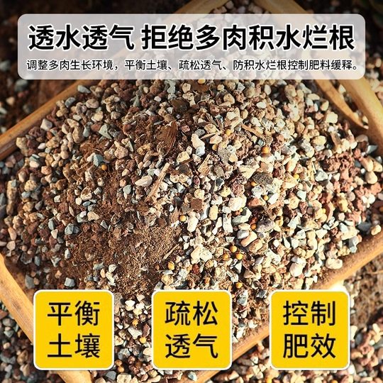 Terreau granulaire spécial pour plantes succulentes et terre nutritive pour plantes succulentes