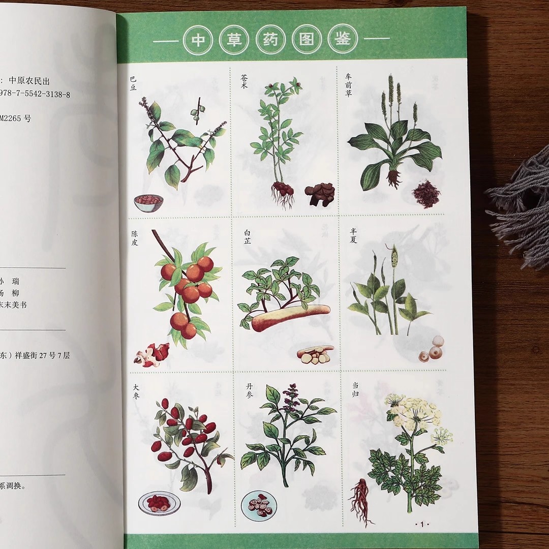 认准正版】老偏方大全正版名中医教你调体质补气血养五脏浓缩绝技妙法临床有奇效中医养生保健健康书籍百病食疗自学养生书籍 - 图3